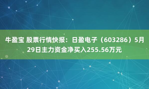 牛盈宝 股票行情快报：日盈电子（603286）5月29日主力资金净买入255.56万元