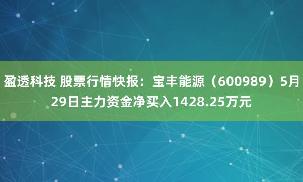 盈透科技 股票行情快报：宝丰能源（600989）5月29日主力资金净买入1428.25万元