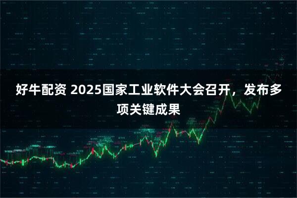 好牛配资 2025国家工业软件大会召开，发布多项关键成果