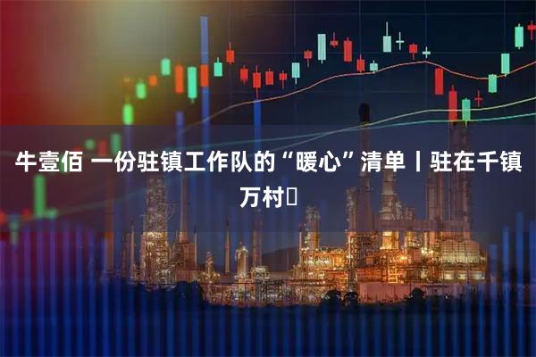 牛壹佰 一份驻镇工作队的“暖心”清单丨驻在千镇万村㉓