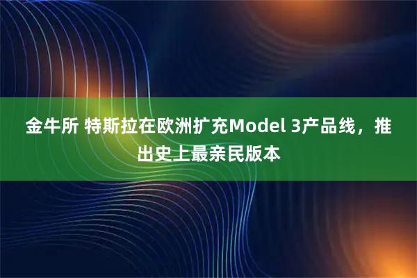 金牛所 特斯拉在欧洲扩充Model 3产品线，推出史上最亲民版本