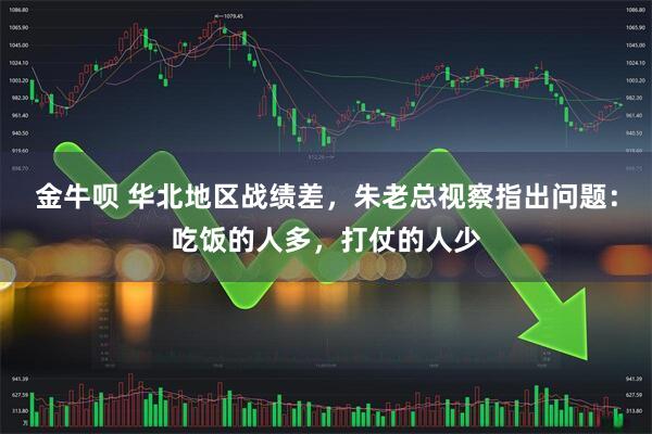 金牛呗 华北地区战绩差，朱老总视察指出问题：吃饭的人多，打仗的人少